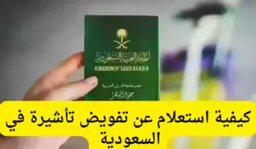 كيفية الحصول على تفويض تأشيرة عبر منصة إنجاز.. وما هي الخدمات التي تقدمها Enjaz