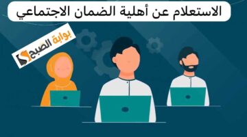 الاستعلام عن أهلية الضمان المطور عبر نفاذ