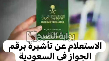 الاستعلام عن تأشيرة برقم الجواز 1445 عبر منصة خدمات التأشيرات الإلكترونية
