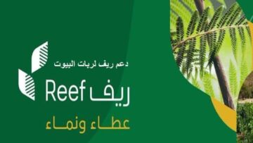 كيفية الاستعلام عن دعم الريف برقم الهوية الوطنية عبر منصة Reef.. الشروط المطلوبة