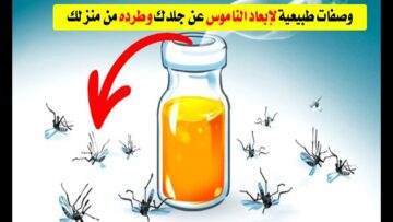 بدون بيرسول.. حيل منزلية فعالة للتخلص من الناموس نهائياً في الصيف