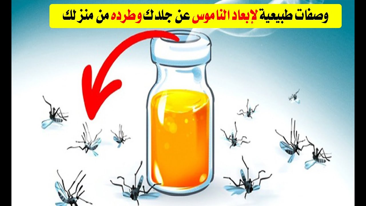 بدون بيرسول.. حيل منزلية فعالة للتخلص من الناموس نهائياً في الصيف 5 بدون بيرسول.. حيل منزلية فعالة للتخلص من الناموس نهائياً في الصيف