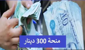عبر موقع وزارة الشؤون الاجتماعية Social.gov.tn ..التسجيل في منحة 300 دينار 2024 تونس