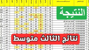 بالرقم الامتحاني”موقع نتائجنا”.. رابط استخراج نتائج الصف الثالث المتوسط في العراق 2024 pdf وزارة التربية العراقية epedu.gov.iq