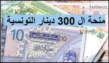 الشئون الاجتماعية.. موعد صرف منحة تونس 300 دينار لشهر يوليو 2024