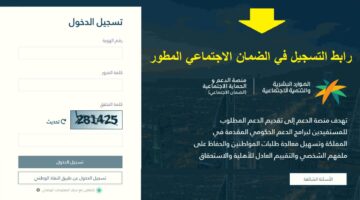 الضمان الاجتماعي 3