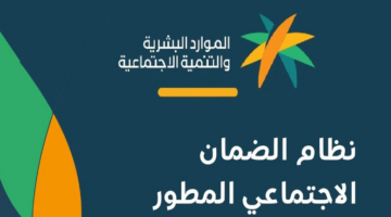 الضمان المطور