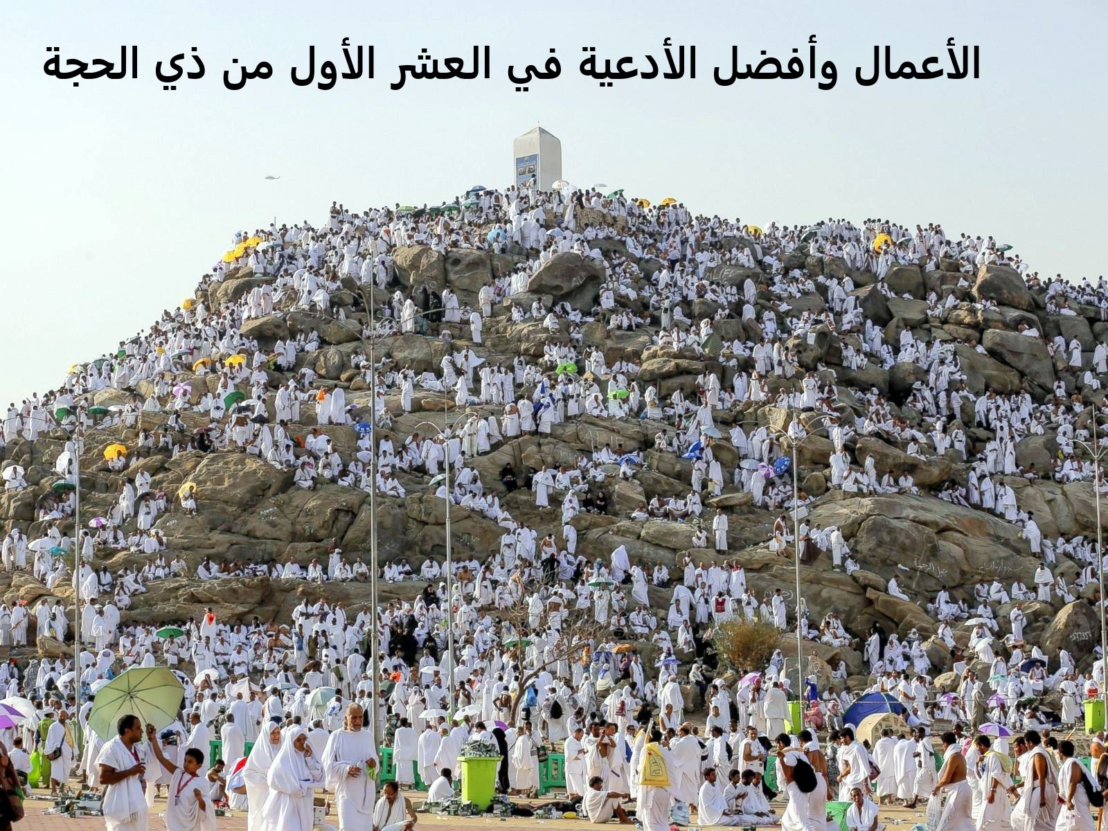 لخدمة ضيوف الرحمن.. ما شروط وكيفية التقديم على الوظائف الموسمية في حج 1446 5 لخدمة ضيوف الرحمن.. ما شروط وكيفية التقديم على الوظائف الموسمية في حج 1446