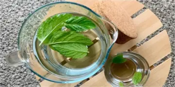 النعناع نكهة منعشة وفوائد صحية لا حصر لها
