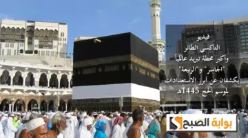 بلالبالبا