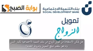 بلبلبلبلبلب