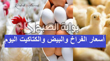بورصة الدواجن اليوم الفراخ البيضاء 1