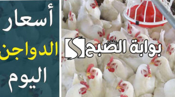 بورصة الدواجن اليوم الفراخ البيضاء 2