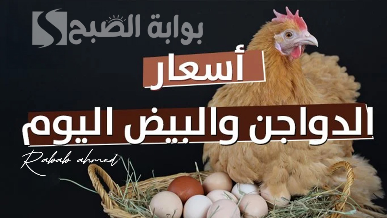 "هدوء طفيف".. بورصه الدواجن اليوم الفراخ البيضاء الجمعة 7 يونيو 2024 5 “هدوء طفيف”.. بورصه الدواجن اليوم الفراخ البيضاء الجمعة 7 يونيو 2024