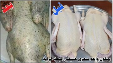 هتبقي بيضاء قشطة..مكون كالسحر بمطبخك لتنظيف البط والفراخ من الريش الصغير والزفارة والروائح الكريهة في دقيقتين هتبقي فلة