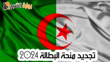 كيفية تجديد منحة البطالة 2024 وموعد صرف المنحة في الجزائر
