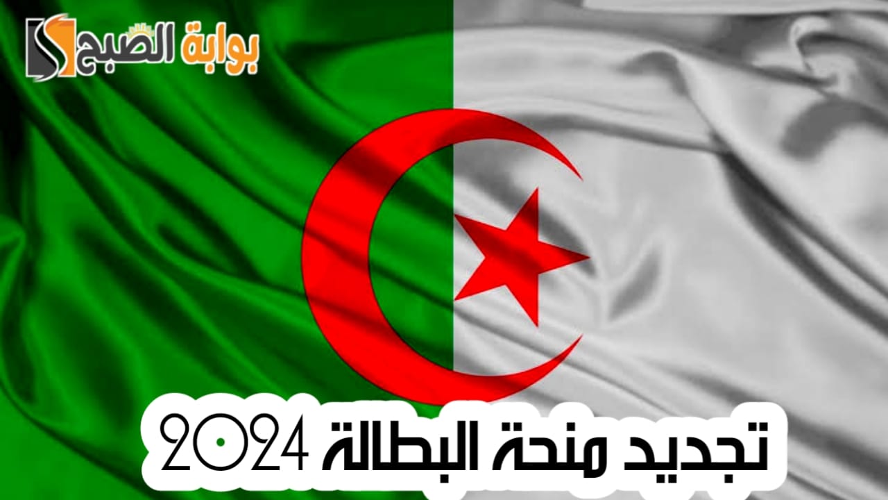كيفية تجديد منحة البطالة 2024 وموعد صرف المنحة في الجزائر 5 كيفية تجديد منحة البطالة 2024 وموعد صرف المنحة في الجزائر