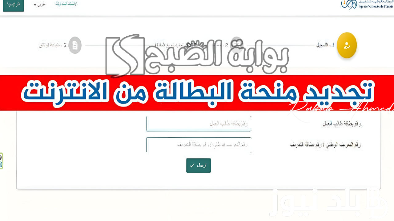 “كل 6 أشهر”.. رابط تجديد منحة البطالة الجزائر 2024 “anem.dz” والشروط المطلوبة