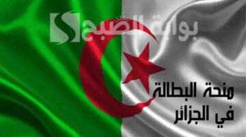 تجديد منحة البطالة في الجزائر 2024
