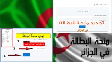 تجديد منحة البطالة كل 6 أشهر