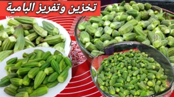 تخزين البامية