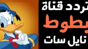 تردد قناة بطوط كيدز الجديد 780x470 1