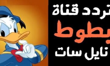 تردد قناة بطوط الجديد 2024 وخطوات تثبيت القناة على الرسيفر