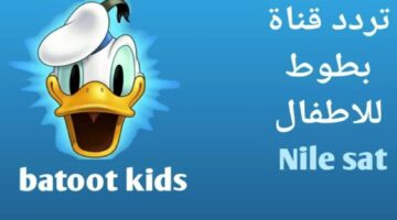 تردد قناة بطوط كيدز على النايل سات 800x500 1