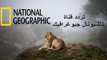 تردد قناة ناشيونال جيوغرافيك على نايل سات لمتابعة البرامج الطبيعية وعالم الحيوانات