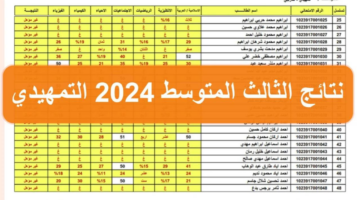تصميم بدون عنوان 20240613 023929 0000