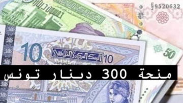 “عـبـر وزارة الشؤون الاجتماعية 2024“ كيفية التسجيل في منحة 300 دينار 2024 تونس social.gov.tn/ar والشروط اللازمة