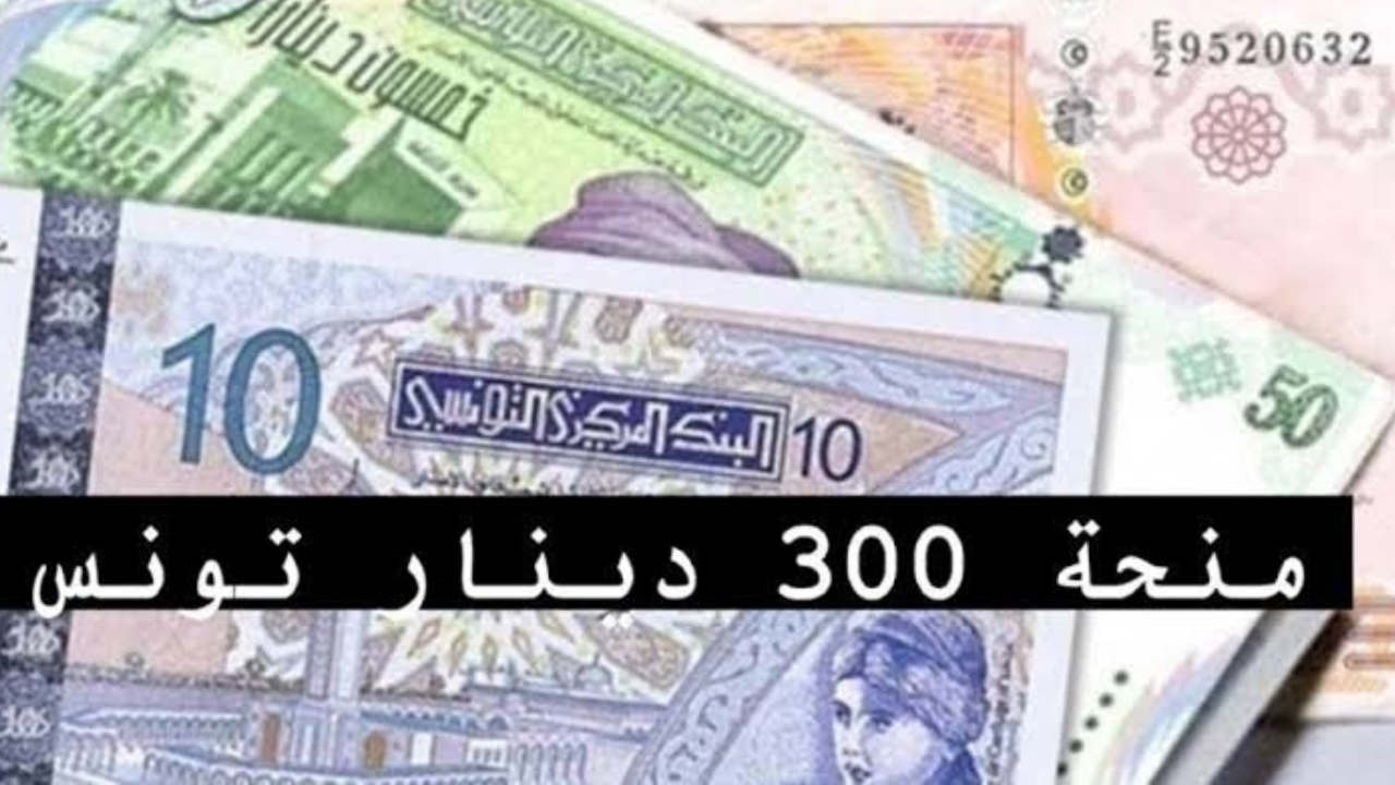 “عـبـر وزارة الشؤون الاجتماعية 2024“ كيفية التسجيل في منحة 300 دينار 2024 تونس social.gov.tn/ar والشروط اللازمة 5 “عـبـر وزارة الشؤون الاجتماعية 2024“ كيفية التسجيل في منحة 300 دينار 2024 تونس social.gov.tn/ar والشروط اللازمة