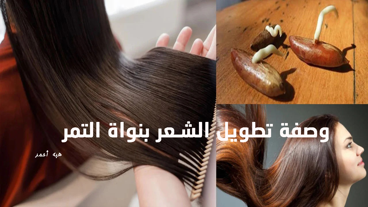 وصفة تطويل الشعر بنواة التمر وتكثيفه في أسرع وقت ونصائح للعناية بشعرك 5 وصفة تطويل الشعر بنواة التمر وتكثيفه في أسرع وقت ونصائح للعناية بشعرك