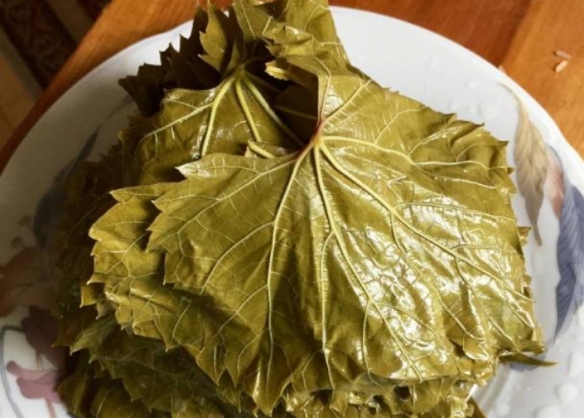 طريقة تفريز ورق العنب وحفظه فترة طويلة في الفريزر بدون ما يتغير طعمه 5 طريقة تفريز ورق العنب وحفظه فترة طويلة في الفريزر بدون ما يتغير طعمه