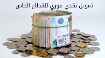 تمويل نقدي فوري للقطاع الخاص
