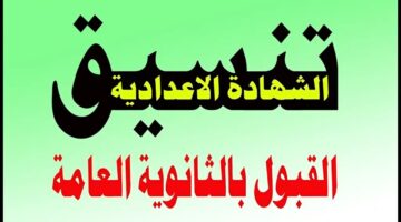 تنسيق القبول في الثانوية العامة 2024 2025