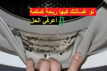 انسي ريحة الكمكمة… طريقة تنظيف الغسالة الاوتوماتيك من رائحة الكمكمة والرائحة الكريهه