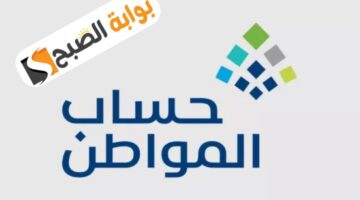 حساب المواطن 3