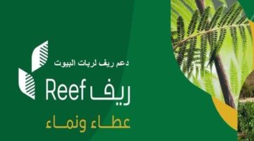 حصول دعم ريف العسل 1