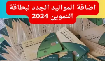 من هنا.. تعرف علي خطوات أضافة المواليد الجدد علي بطاقة التموين والفئات المستحقة 2024