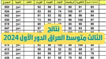 رابط استعلام نتائج الثالث متوسط 2024