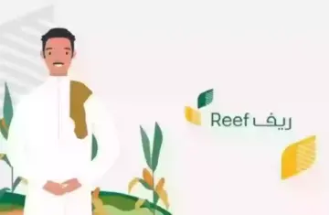 رابط الاستعلام عن دعم ريف عبر الموقع الرسمي والشروط المطلوبة للحصول علية