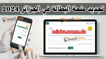 رابط تجديد منحة البطالة 2024 أونلاين anem