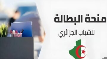 رابط تجديد منحة البطالة في الجزائر 2024
