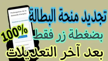 “استعلم الآن”.. رابط تجديد منحة البطالة في الجزائر 2024 عبر الوكالة الوطنية للتشغيل anem.dz