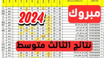 رابط نتيجة الثالث متوسط 2024