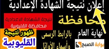 نتيجة الصف الثالث الإعدادي القليوبية 2024 تعرف على درجات المواد الــ 5 في ثواني