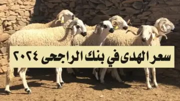 كم سعر الهدي في بنك الراجحي 2024؟! كيفية شراء صك الهدي من منصة أضاحي ehsan.sa/adahi