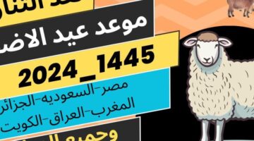سعر صك الأضحية في الحج ٢٠٢٤ 2