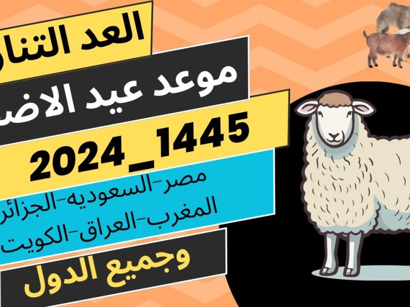 سعر صك الأضحية في الحج ٢٠٢٤ برابط مباشر حجز صك الأضاحي من خلال منصة إحسان ehsan.sa 5 سعر صك الأضحية في الحج ٢٠٢٤ برابط مباشر حجز صك الأضاحي من خلال منصة إحسان ehsan.sa